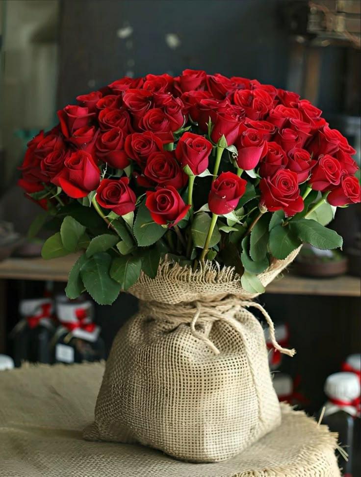 Eternal Embrace: Timeless Rose Symphony